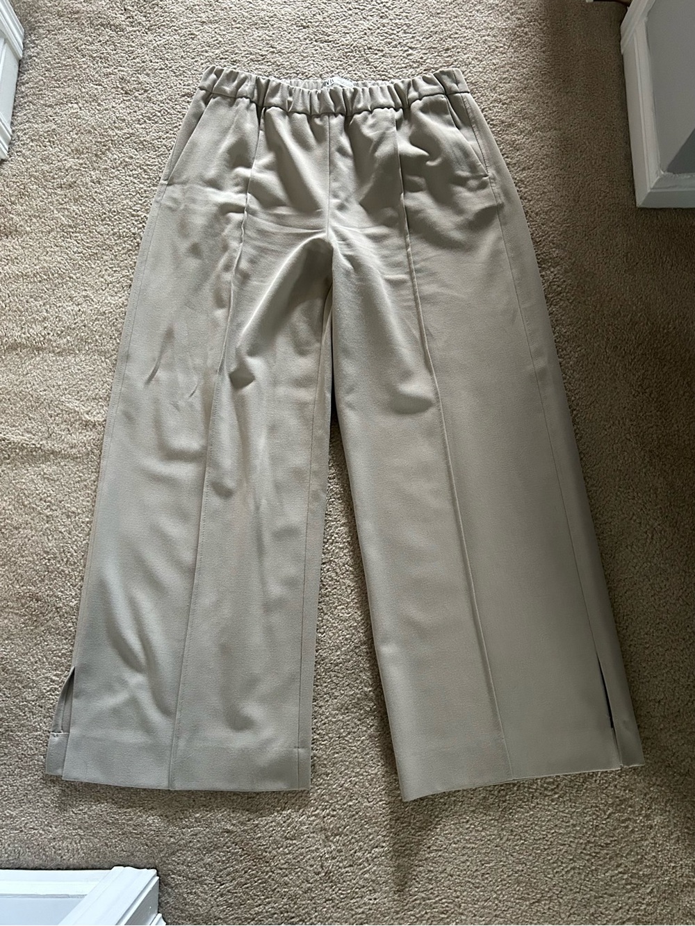 Zara Pleated Pants